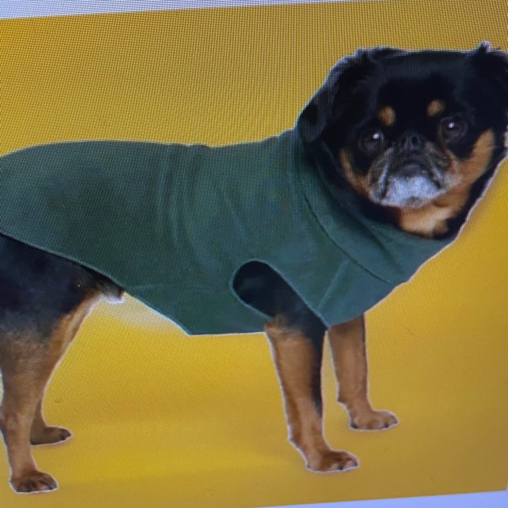 Cozy Green Dog Fleece Hoodie